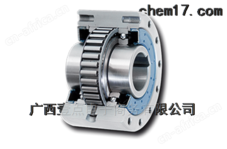 RINGSPANN衬套2198-010100-023.70德国原装