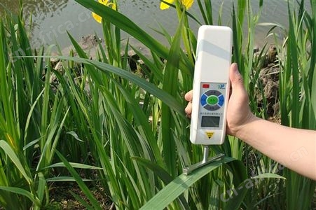 YYD-1B植物抗倒伏测定仪 玉米倒伏检测仪