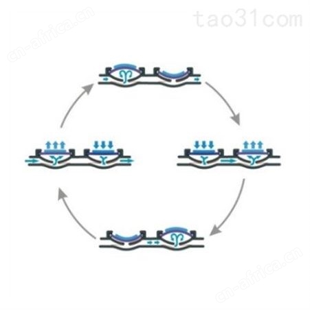 Bartels微泵 Bartels微流量泵 Bartels微泵评估套装 Bartels科研微泵