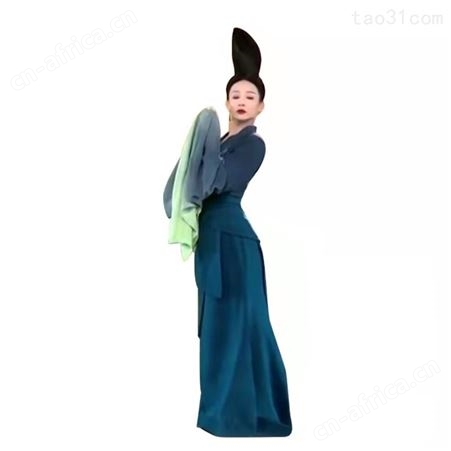 古典舞蹈诗剧只此青绿舞蹈服练习广袖表演服水袖上衣舞蹈服演出服