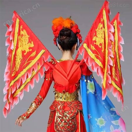 央视英姿舞蹈戏曲演出服俏花旦靠旗行头舞台