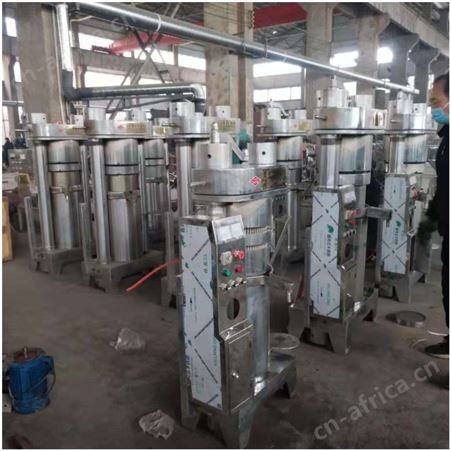 立式橄榄油棕果榨油机 304不锈钢韩式榨油机 玉米胚芽油压榨机