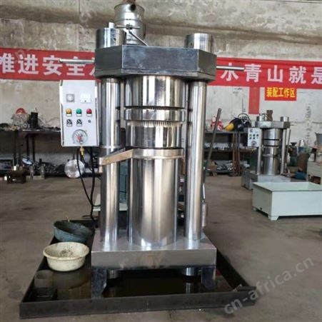 立式橄榄油棕果榨油机 304不锈钢韩式榨油机 玉米胚芽油压榨机