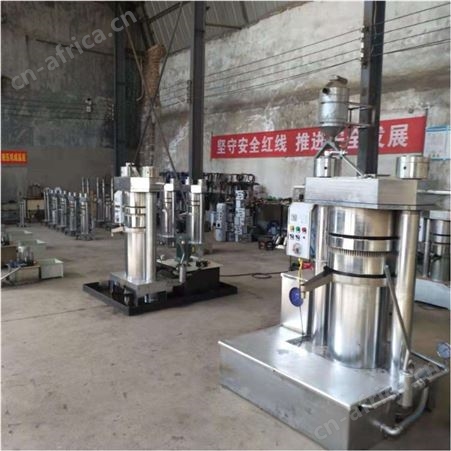 立式橄榄油棕果榨油机 304不锈钢韩式榨油机 玉米胚芽油压榨机