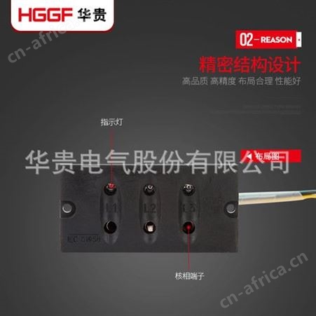 带电显示器，高压开关柜户内高压带电显示装置，T型带电显示器配套传感器，华贵电气