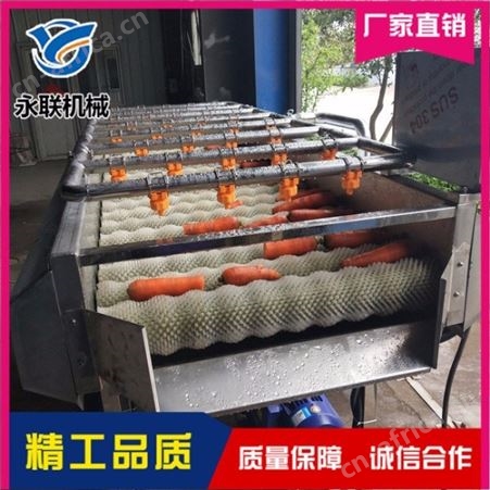 红薯紫薯全自动平行毛刷清洗机 根茎类果蔬毛刷成套清洗流水线