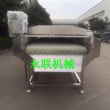 红薯紫薯全自动平行毛刷清洗机 根茎类果蔬毛刷成套清洗流水线