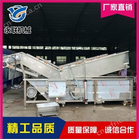 红枣蜜枣全自动气泡清洗机 蒲公英全自动气泡清洗机