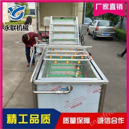 红枣蜜枣全自动气泡清洗机 蒲公英全自动气泡清洗机