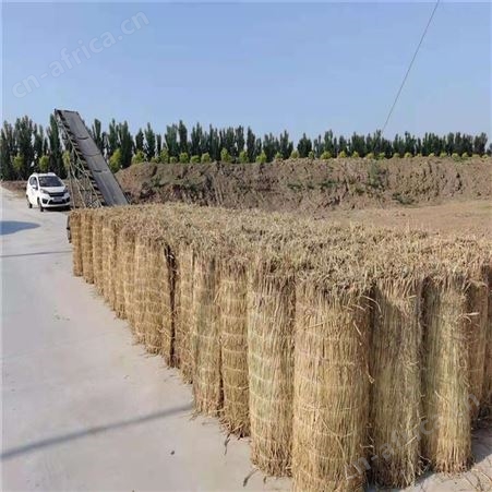 批量供应绿化保温草绳批发金磊厂家