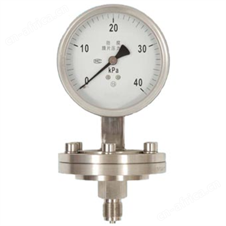 M螺纹式隔膜压力表