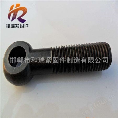 高质量活节螺栓 M12-M36 圆头螺栓 规格齐全 厂商大量销售 和瑞