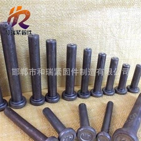 16-25  现货 规格齐全 高质量焊钉 欢迎和瑞紧固件厂家