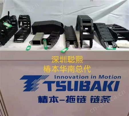椿本华南总代 椿本顶板链条 塑料模块链条 WT0405-W型