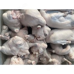 鹅翅膀 食品黑棕鹅 冰鲜鹅 去膛黑棕鹅 鲜鹅皇
