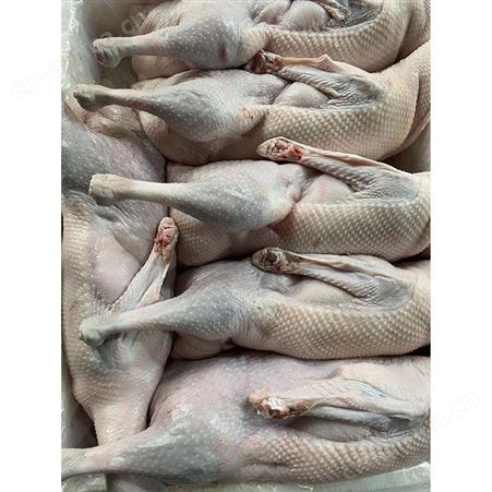 白条烧鹅 鹅翅膀 黑棕鹅价格 多肉鹅脚翅 鲜鹅皇