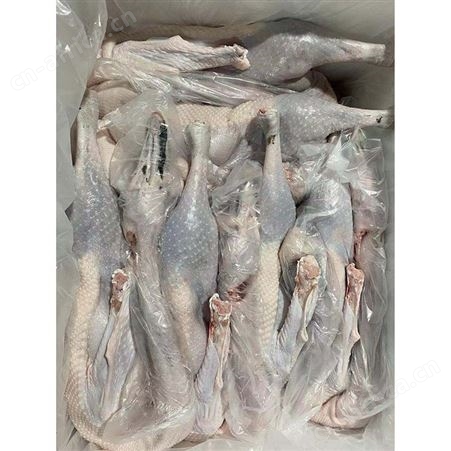 新鲜黑棕鹅 多肉鹅脚翅 基地销售 鲜鹅皇