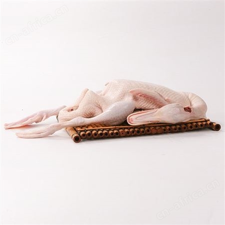 冰鲜白条鸭批发厂家