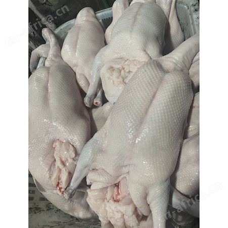 冷冻黑棕鹅批发 卤鹅翅食材 净光鹅 去膛黑棕鹅 鲜鹅皇
