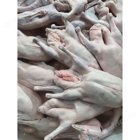 白条烧鹅 鹅翅膀 黑棕鹅价格 多肉鹅脚翅 鲜鹅皇