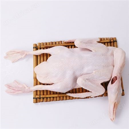 冰鲜白条鸭批发厂家