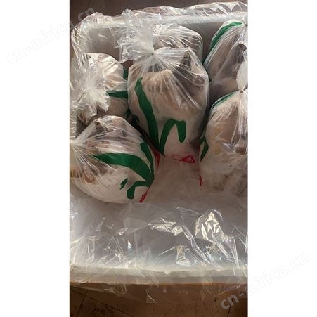 批发老鹅鹅头 批发冻黑棕鹅 冰冷急冻鹅肉 多肉鹅脚翅 鲜鹅皇