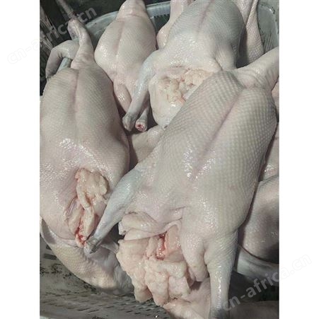 白条烧鹅 鹅翅膀 黑棕鹅价格 多肉鹅脚翅 鲜鹅皇