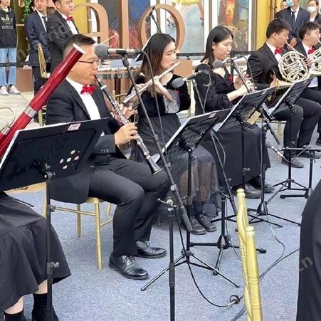 武汉舒尔话筒出租武汉麦克风公司武汉乐队乐器进口话筒租赁公司