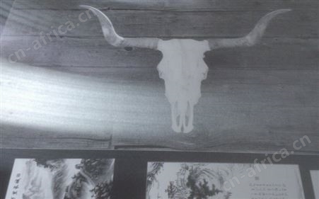 客厅不锈钢蚀刻画 古铜不锈钢蚀刻动物画