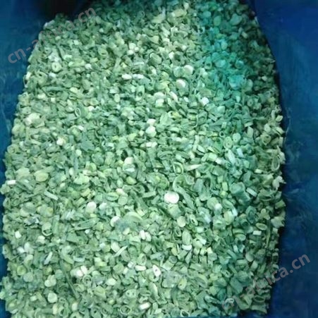 批发出售冷藏香葱段 速冻小香葱 速食果蔬加工厂 日照绿拓食品