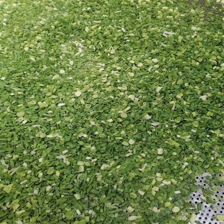 绿拓食品现货供应速冻香葱圈 调料用成品葱段袋装品质保障