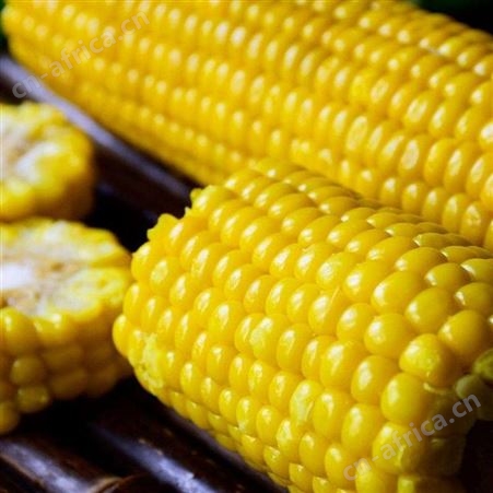 绿拓食品成品速冻甜玉米粒开袋即食煮粥配料用