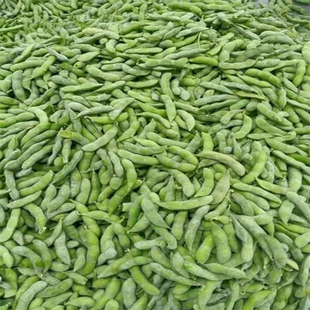 家庭速冻食品冷冻毛豆荚 餐厅配菜麻辣毛豆荚价格实惠日照绿拓食品