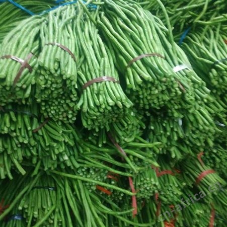 绿拓家庭餐厅烹饪用长豆角段 干净卫生成品速冻豇豆供应