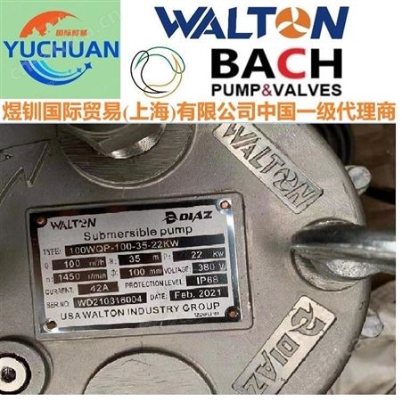 进口切割泵，进口潜水泵，美国提升泵：美国沃尔顿WALTON