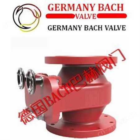 进口UPVC塑料背压阀，进口UPVC塑料安全阀 -德国BACH巴赫