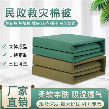 民政救灾棉被 防潮被 网纱棉花被棉胎被褥冬季保暖被