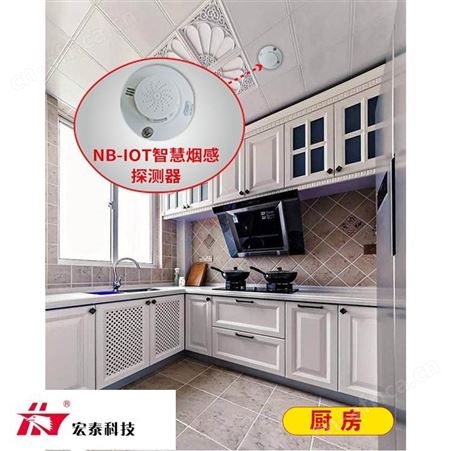 宏泰 NB-IOT智慧烟感探测器 物联网烟感探测器 仓库厨房烟雾报警器 厂家批发