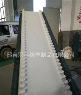 冠科GK-100裙边输送带,挡板输送带,打孔输送