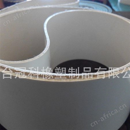 冠科GK-100食品级输送带,pvc输送带,pu