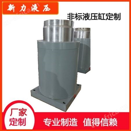 新力液压 液压齿轮油泵 液压缸元件