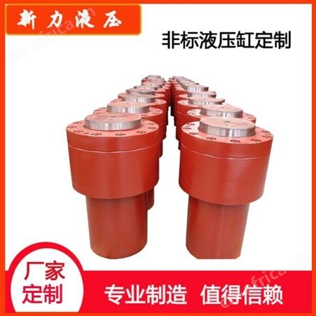 新力液压 液压齿轮油泵 液压缸元件