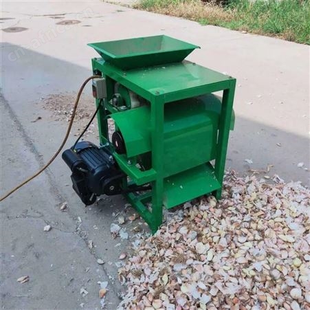 全自动大蒜分瓣机 家用台式小型大蒜分瓣机 筛选过滤大蒜分瓣机
