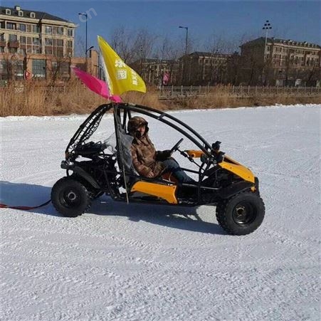 全地形钢管越野卡丁车 双座汽油卡丁车 雪地卡丁车