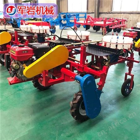 甘蓝栽苗机 西兰花移栽机 娃娃菜栽苗机 番茄移栽机 生产 经销商出售