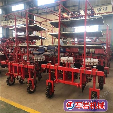 梅干菜移栽机 各种蔬菜移栽机 甘蓝栽苗机 玉米苗种植机 现货销售