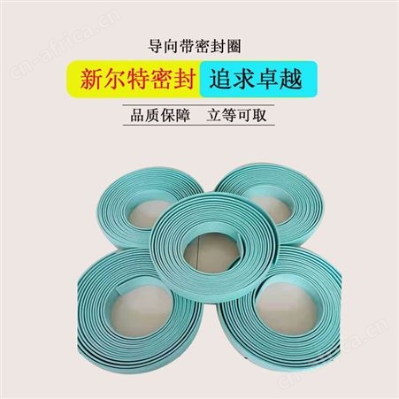 导向带油缸气缸用密封圈A新尔特油封密封生产