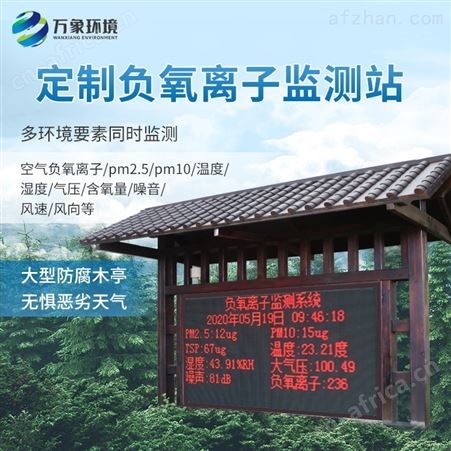 国产负氧离子自动监测站公司