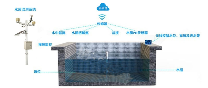 057fcc1eb53d4e758fc5c9b83ae422a3.png 057fcc1eb53d4e758fc5c9b83ae422a3.png