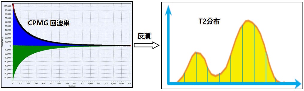低场核磁反演技术